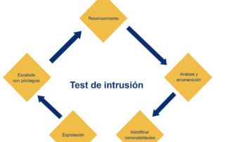 Test de Intrusió